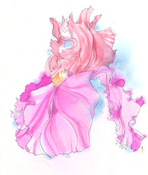 Artwork by Jake Bialos - nyfew.com